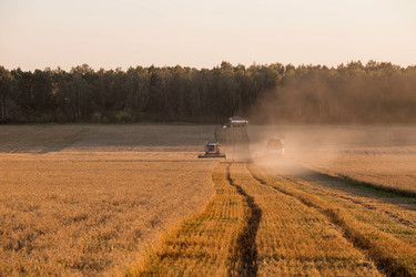 Similar image 21539855