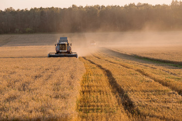 Similar image 21539856