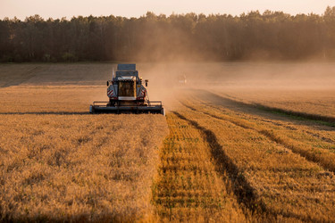 Similar image 21539857