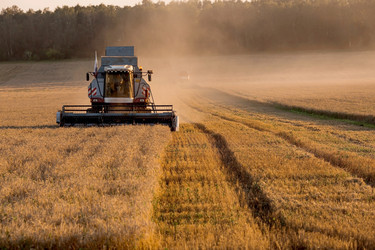 Similar image 21539858