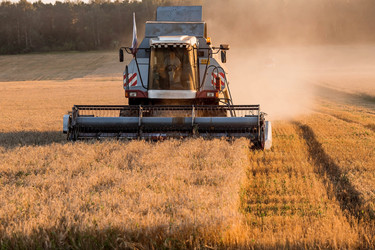 Similar image 21539861