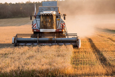 Similar image 21539862