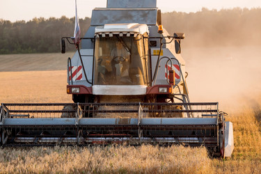 Similar image 21539863