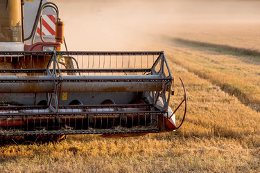 Similar image 21539864