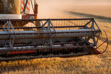 Similar image 21539865