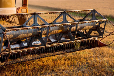 Similar image 21539866