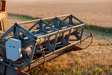 Similar image 21539867