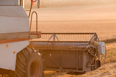 Similar image 21539869