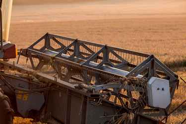 Similar image 21539870