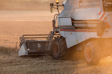 Similar image 21539871