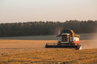 Similar image 21539874