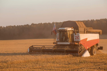 Similar image 21539876