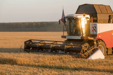 Similar image 21539877