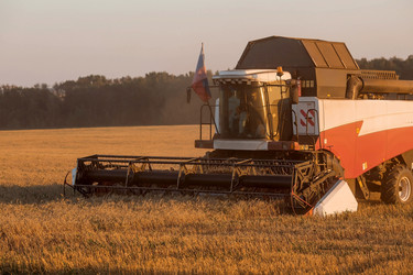 Similar image 21539878