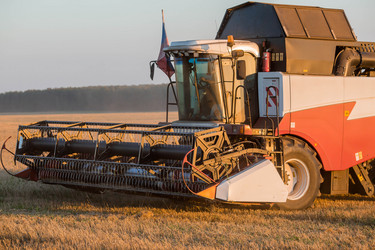 Similar image 21539879