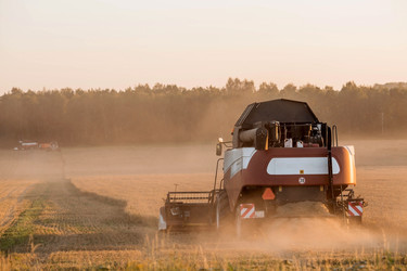 Similar image 21539998