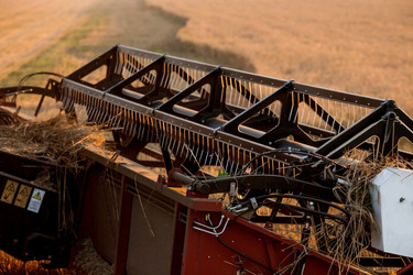 Similar image 21539999