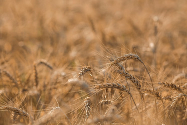 Similar image 21540000