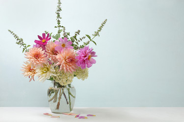 Similar image 21539572