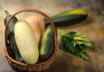 Similar image 21539594