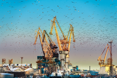 Similar image 21541021