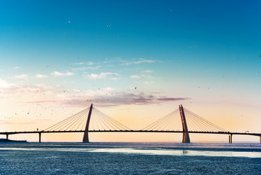 Similar image 21541442