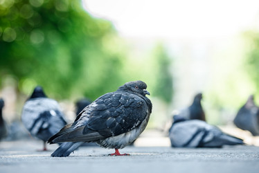 Similar image 21541446