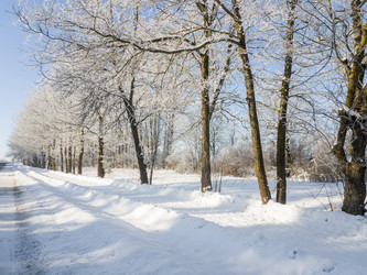 Similar image 21545723