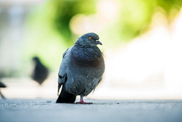 Similar image 21541766