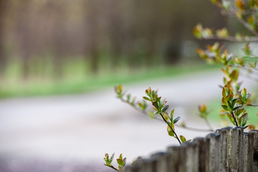 Similar image 21540424