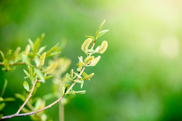 Similar image 21540425