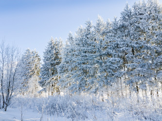 Similar image 21540426