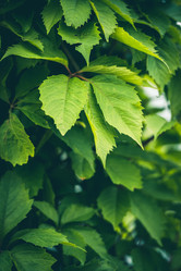 Similar image 21540430