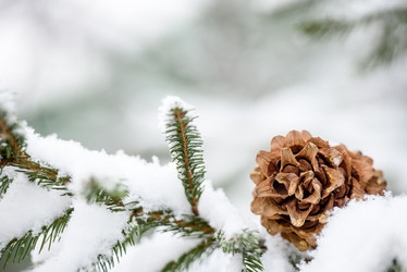 Similar image 21540431