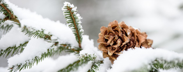 Similar image 21545029