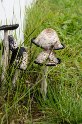 Similar image 21545032