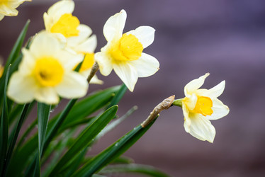 Similar image 21540435