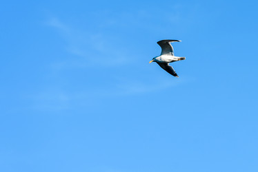 Similar image 21545191