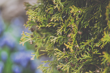 Similar image 21540776