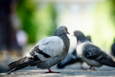 Similar image 21540779