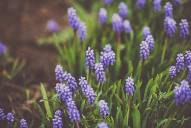 Similar image 21540781