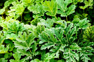 Similar image 21540783