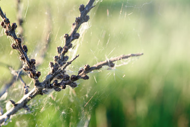 Similar image 21540784