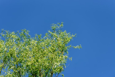 Similar image 21540786