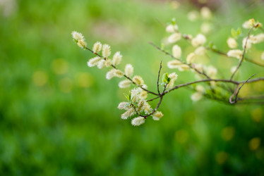 Similar image 21540787