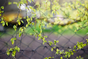 Similar image 21540789