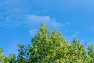 Similar image 21541022