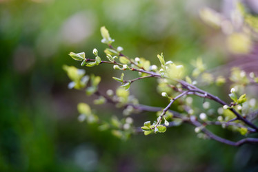 Similar image 21541023