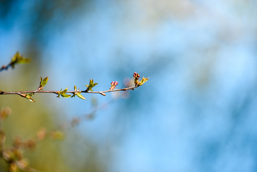 Similar image 21541024