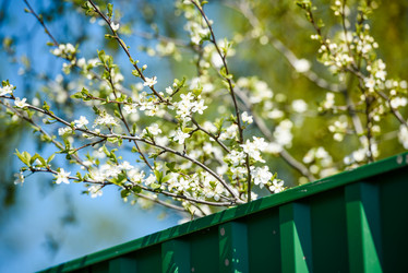 Similar image 21545442